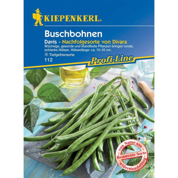 Robuste Buschbohne 'Davis'
