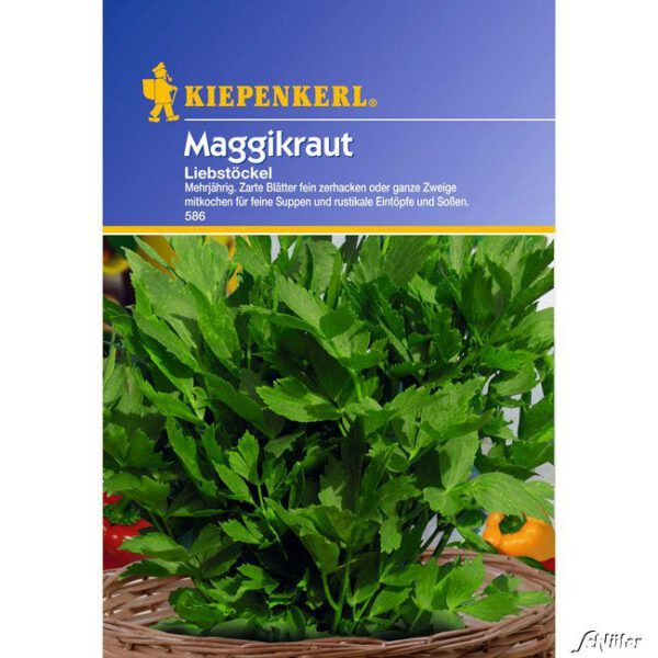 Maggikraut-Liebstöckel mehrjährig