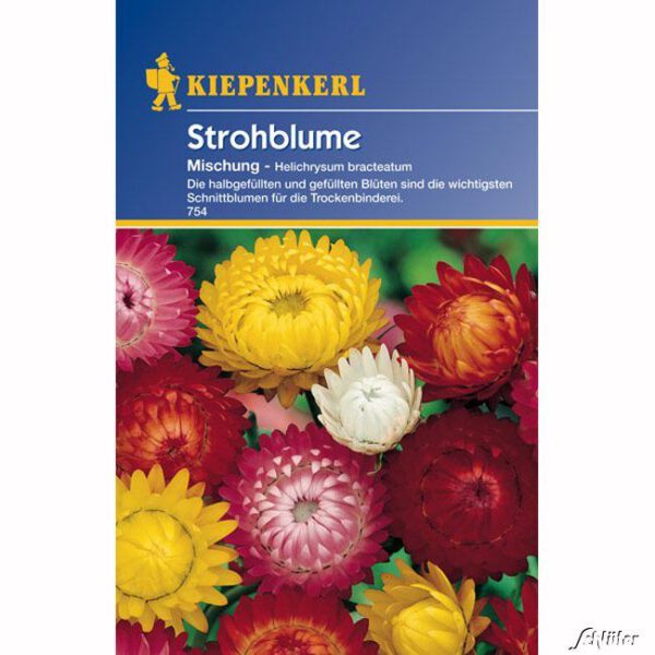 Strohblumen-Mischung