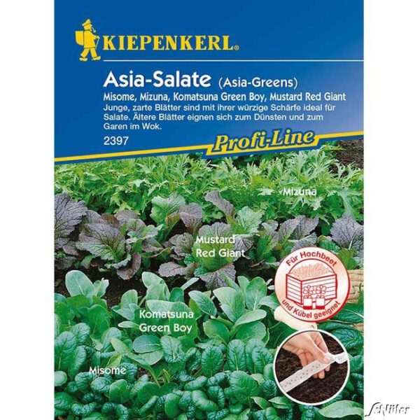 Asia-Salat 'Salat-Mischung'