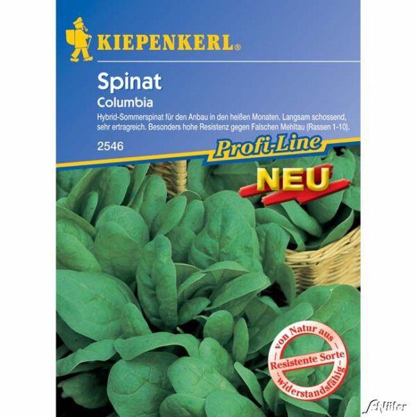 Spinat 'Columbia'