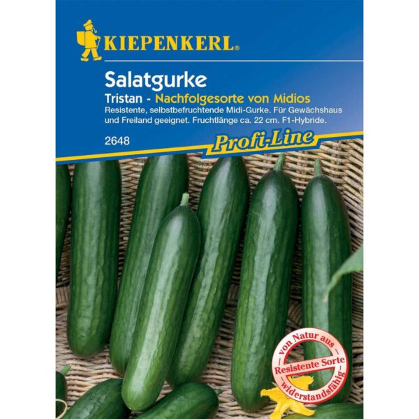 Salatgurke Tristan