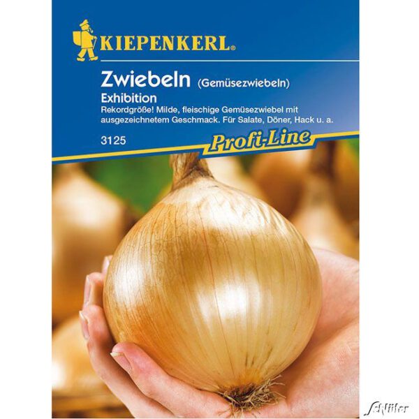 Zwiebeln Exhibition