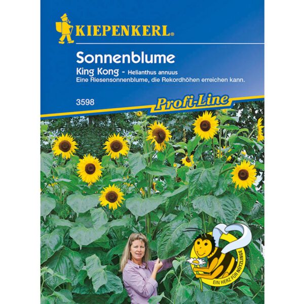 Sonnenblume 'King Kong'