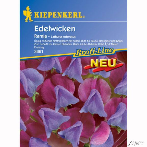 Wicke (Edelwicke) 'Ramia'