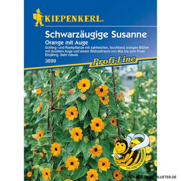 Schwarzäugige Susanne 'Susi'