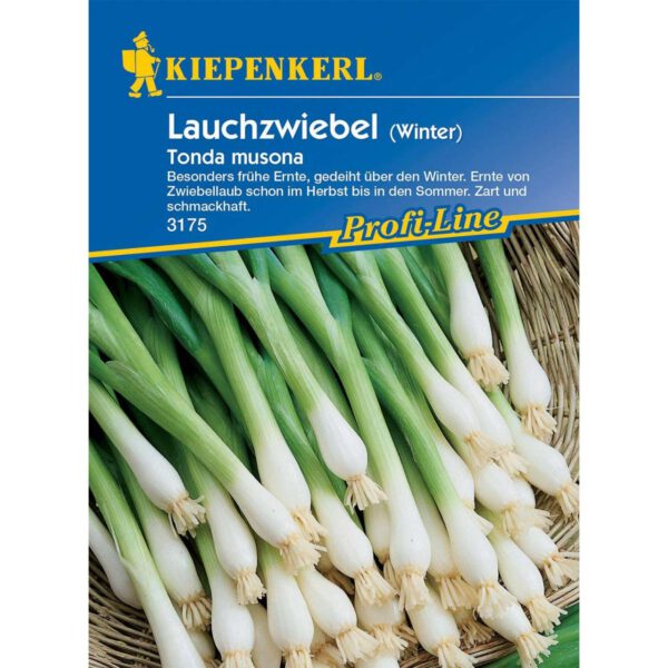 Lauchzwiebeln 'Tonda Musona'