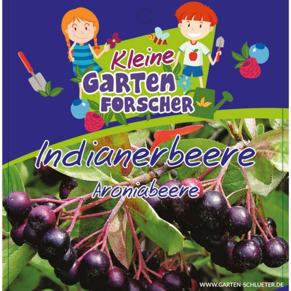 Apfelbeere 'Indianerbeere' Kleine Gartenforscher