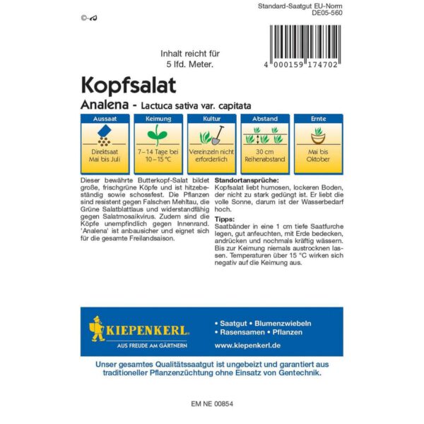 Kopfsalat 'Analena'