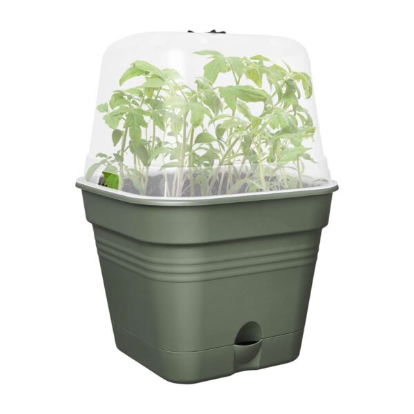 Anzucht-Schale 'Green Basics Allin1' Quadrat