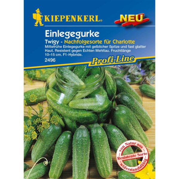 Einlegegurke 'Twigy' - Nachfolger von 'Charlotte'