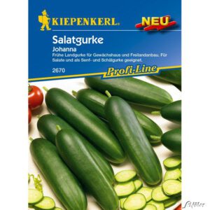 Salatgurke 'Johanna'