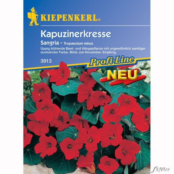 Kapuzinerkresse 'Sangria'