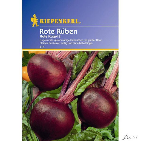 Rote Rüben 'Rote Kugel 2'
